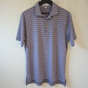 Peter Millar 2022 Blue Purple Stripe Summer Comfort Performance Golf Polo Med